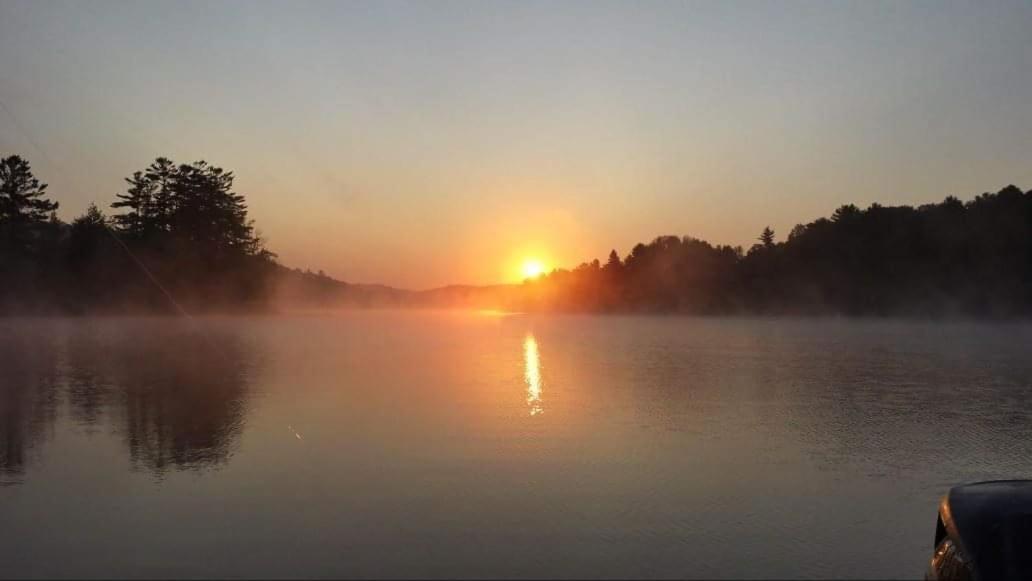 Muskoka Shores Cottages ميناء كارلينج المظهر الخارجي الصورة