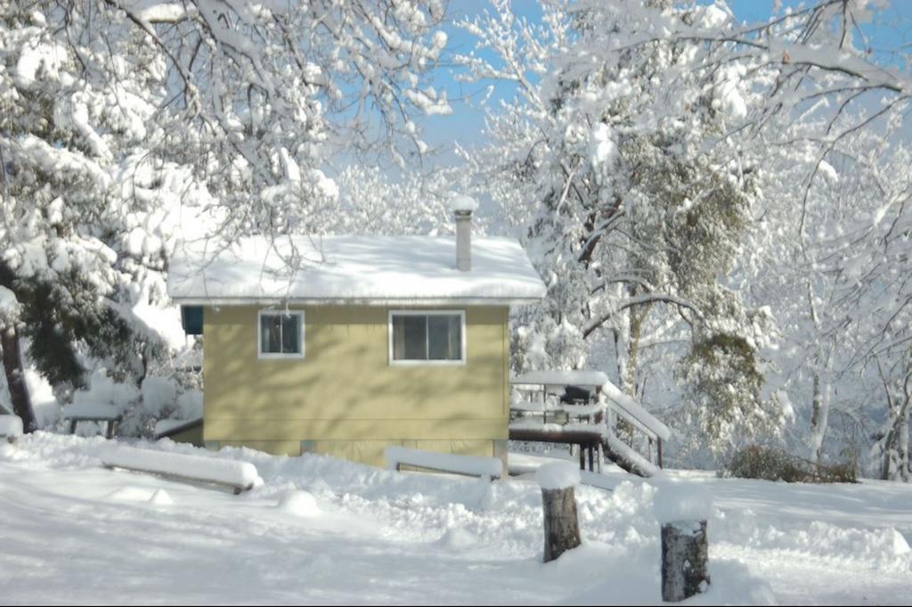 Muskoka Shores Cottages ميناء كارلينج المظهر الخارجي الصورة